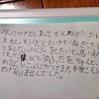 3DSを水没させてしまった8歳の男の子が書いた“任天堂へのお手紙”に涙 画像
