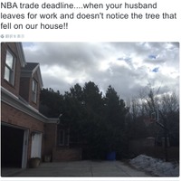 NBAチームのGMはつらいよ…仕事に没頭し過ぎ自宅の倒木に気づかず妻激怒 画像