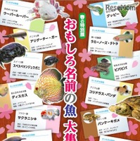 さいたま水族館に「おもしろ名前」の魚が大集合！ 画像