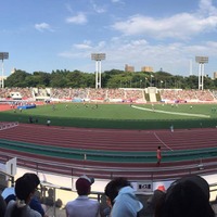 100mH、木村文子優勝「もう少し思うように走りができたらよかった」 画像