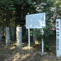 【小さな山旅】標高91mの最低山…群馬県・権現山 画像