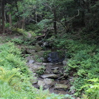 【小さな山旅】沢の水に触れたくなる、衝動はどこから？…宝篋山（2） 画像