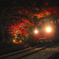 【小さな山旅】ケーブルカーで夜間山行…茨城県・筑波山 画像