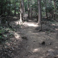 【小さな山旅】山に集中することで新たな道が拓ける…宝篋山（3） 画像