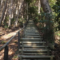 【小さな山旅】“かいだんこわい”…茨城県・仏頂山～栃木県・高峰（1） 画像