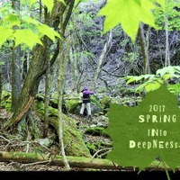 コールマン、小学生向けの自然体験イベント「冒険トレック2017 春」5月開催 画像
