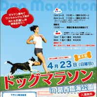 犬と人が一緒に走る「ドッグマラソンin葛西臨海公園」4月開催 画像