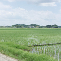 【小さな山旅】さわやか古墳山さんぽ…茨城県・梵天山 画像