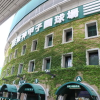 巨人、吉川光夫が6回無失点で移籍後初勝利…阪神は岩田稔が誤算 画像
