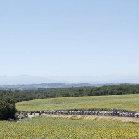 ツール・ド・フランス第14Sはラブロンが優勝 画像