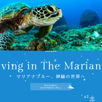 マリアナ政府観光局がダイビングサイト公開…ダイビングポイントや生き物等を紹介 画像