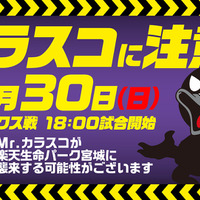 Mr.カラスコが楽天生命パーク宮城にやってくるかも！？Mr.カラスコ注意報発令中 画像