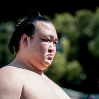 田子ノ浦部屋と親交のある大山加奈、現役引退の稀勢の里に「生きる力をいただいた」 画像