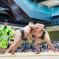 嘉風、琴奨菊らが登場！相撲イベント「うめきた場所in グランフロント大阪」開催 画像