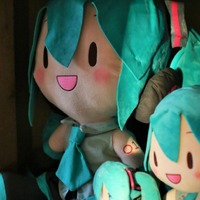 柔術家・湯浅麗歌子の初音ミク愛がすごい…髪の毛に「ミクカラー注入しました」 画像