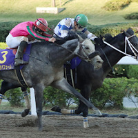 【競馬】ダートの祭典・JBC競走を分析。藤田菜七子に追い風となるデータとは？ 画像