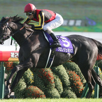 【競馬】天皇賞・秋　有力馬の追い切りジャッジ＆追い切りから狙える穴馬プラスワン！ 画像