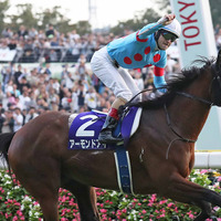 【競馬】年度代表馬にアーモンドアイ　牡牝無敗の三冠馬2頭は受賞ならず 画像