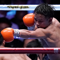 【ボクシング】京口紘人、3度目の防衛戦に米メディアが熱視線「この一戦を見逃す手はない」 画像