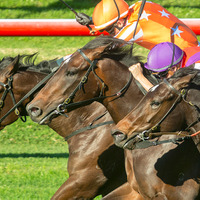 【競馬】レイパパレはどこまで強いのか、宝塚記念で牡牝三冠馬との対決が実現 画像