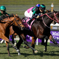 【香港カップ】今年海外GI3勝　異国の地でラヴズオンリーユーが有終の美飾る 画像