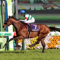【競馬】年度代表馬にエフフォーリア　海外GI3勝のラヴズオンリーユーは受賞ならず 画像