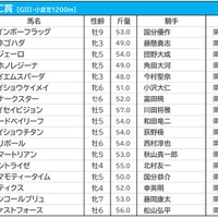 【CBC賞／枠順】アネゴハダは1枠2番　タイセイビジョンは4枠8番に勝率“0％”の試練 画像