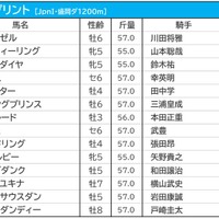 【JBCスプリント／3連複6点勝負】レッドルゼルの連覇に“黄信号”　キーワードは前走・東京盃敗戦組 画像