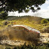 【WRC】ラリー・イタリア サルディニア　ヒョンデのラッピが首位、0.1秒差でトヨタのオジエ 2日目 画像