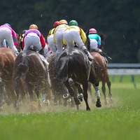 【POG2023-2024】堀厩舎3頭目の新馬勝ちは「星3」　逃げ切りボルケーノは「次走が試金石」 画像