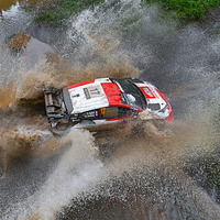 【WRC】第7戦サファリ・ラリー・ケニア3日目、トヨタ勢1-2-3-4体制でオジエが首位堅持　「明日も長い」と4位の勝田貴元 画像