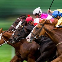 【POG2023-2024】ルージュスタニングは“マイル女王”の候補 「優等生なレースぶり」で完勝 画像