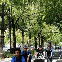 御堂筋サイクルピクニックが9月22日に大阪で開催 画像