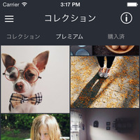 アメリカ発のリクエスト型写真素材サイト「Snapwire」日本展開 画像