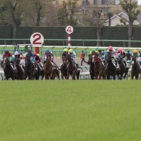 【宝塚記念／穴ライズ】「調教パターン見直しで急上昇、人気ガタ落ちで買いの一手」　前日“8人気”前後の穴馬 画像