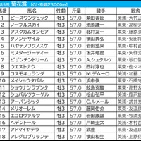 【菊花賞／前日オッズ】単勝9.9倍以下だけの決着は「10回中1回のみ」　単勝10倍以上は“大手生産牧場”に妙味 画像