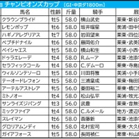 【チャンピオンズC／前日オッズ】伏兵ゾーンから「馬券内率50.0％」合致　“超人気薄”は血統のあと押しで激走チャンス 画像