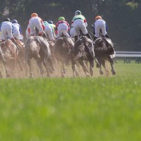 【有馬記念／馬場情報】中山芝は例年より良好な状態　外差しもOKで馬場傾向を掴む“2桁オッズ×名手”コンビは要注目 画像