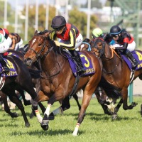 【クイーンエリザベス2世C/馬連6点】日本馬vs.ゴリアットも波乱の匂い 「4.0.1.0」の伏兵が好配当をもたらす 画像
