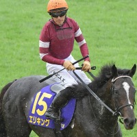 【菊花賞】ジョッキーカメラが捉えた川田将雅の2週連続“ハラハラ”ゲート内　「あー！」で発馬の災難にファン既視感 画像