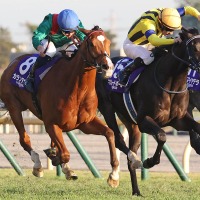 【ジャパンC】「どんなジョッキーカメラより熾烈」各馬のポジション争いにファン熱狂「バッチバチの競り合い」 画像