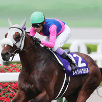 【有馬記念／サイン馬券】高市首相ばりに働く女傑レガレイラか、リアル・ロイヤルファミリーのメイショウタバルか 画像