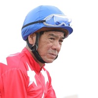 大井の帝王・的場文男が語る「東京大賞典の兵法」と、今年の展望「ミッキーファイトはとにかく強い」 画像