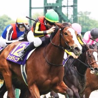 【中山記念／危険な人気馬】実績最上位に“勝率0％”の壁　「0.3.1.7」と「0.1.0.27」が物語るマイナス要素ずらり 画像