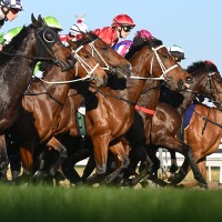 【スプリングS／穴ライズ】馬柱が綺麗な馬に隠れ“盲点”の存在　単勝オッズ10倍以上に再浮上の余地あり 画像