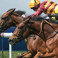 【高松宮記念／穴ライズ】前売り10人気前後を「高配当の使者」に抜擢　復調モードで枠良し展開OK 画像