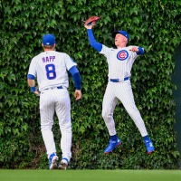 【MLB】「ボールが2つある」捕った？落とした？カブス本拠地リグレーフィールド名物の信じられない珍プレー　外野手がツタのフェンスに激突し…… 画像