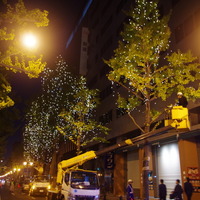 大阪・御堂筋、12月1日からの大阪光の饗宴2014に向け繁忙期に 画像