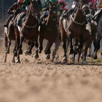 【マイルCS南部杯／全頭診断】ウィルソンテソーロは“盤石にあらず”　GI馬に先着の条件で大金星狙う4歳馬は 画像