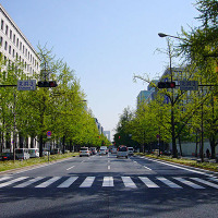 大阪・御堂筋の社会実験に自転車通行空間が登場 画像
